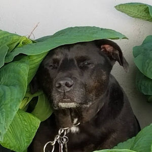 Meet your Posher, Matt